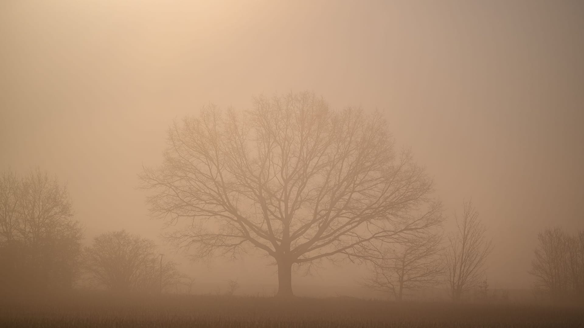 Nebelige Landschaft in Brandenburg: Ein Vorbote des wechselhaften Wetters in Deutschland.