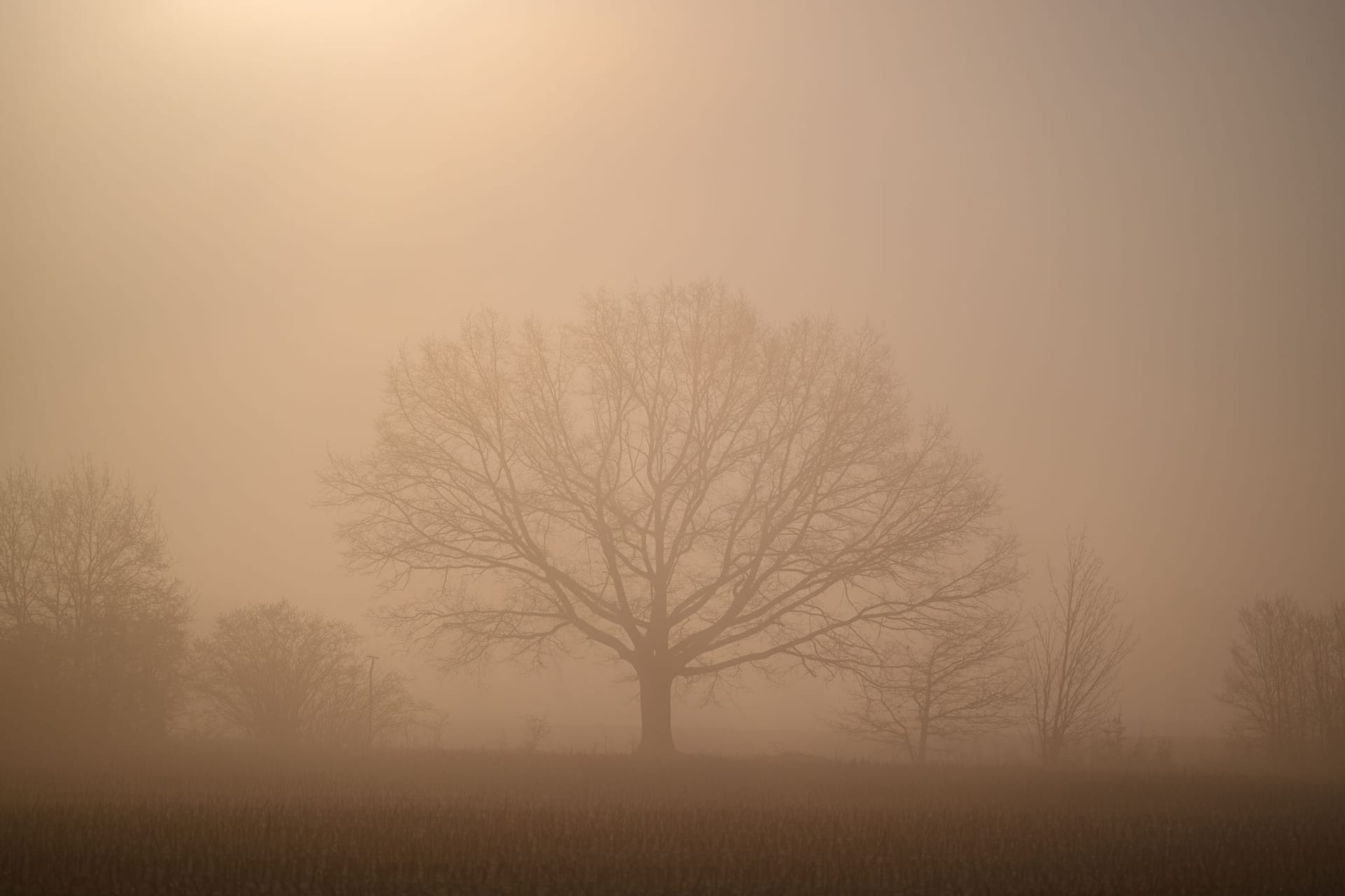 Nebelige Landschaft in Brandenburg: Ein Vorbote des wechselhaften Wetters in Deutschland.