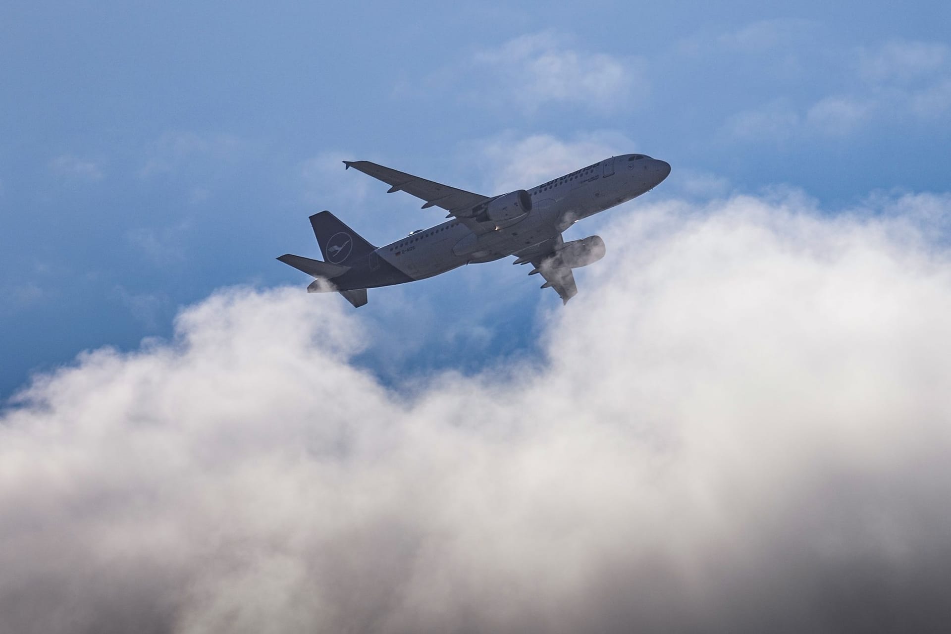 Ein Flugzeug der Lufthansa