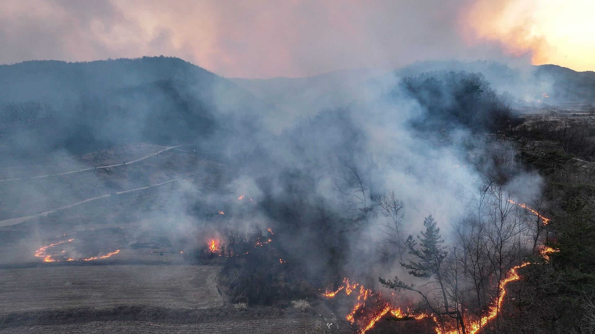 Waldbrände in Südkorea