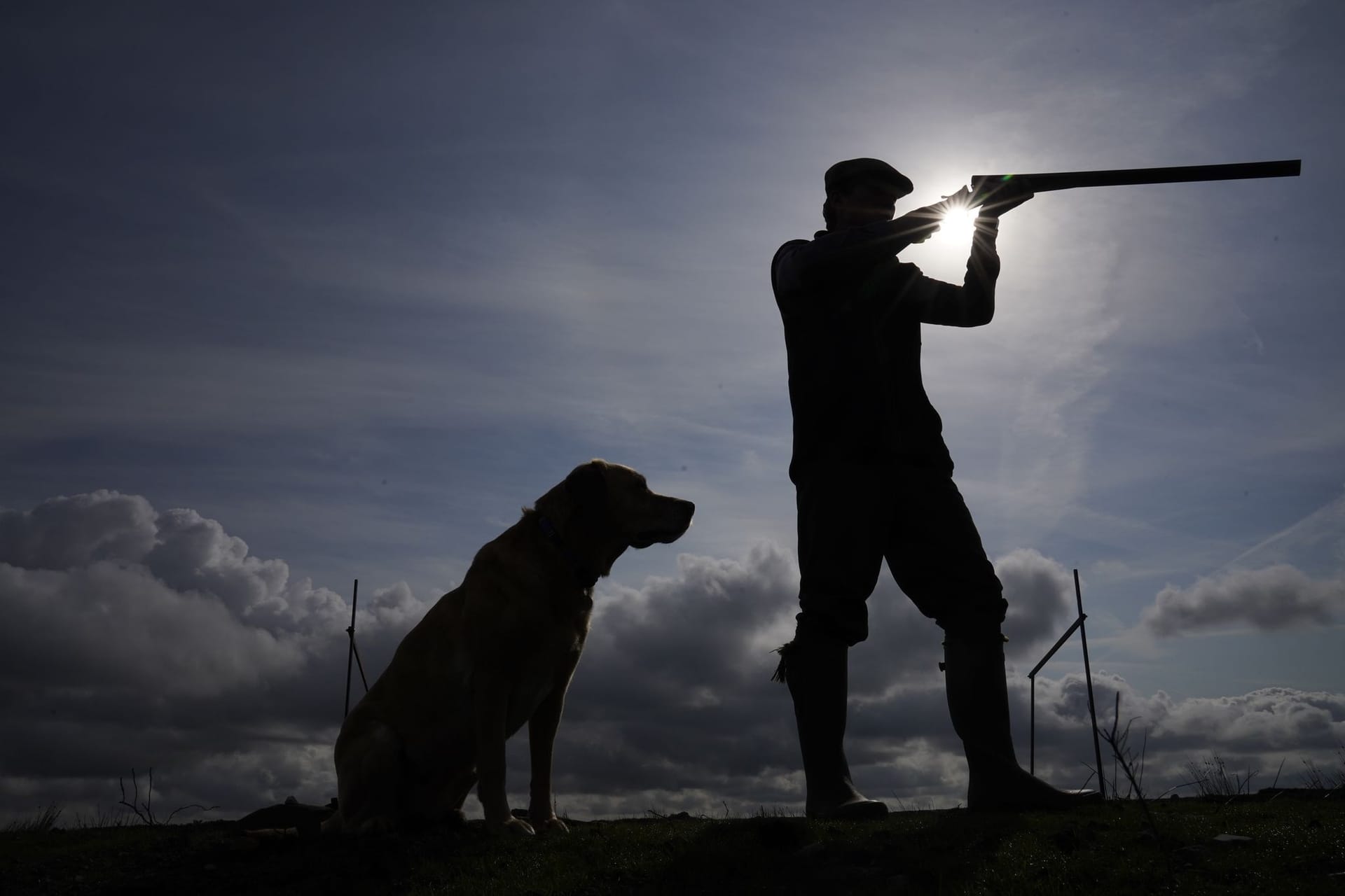 Bleimunition wird weiter zur Jagd eingesetzt