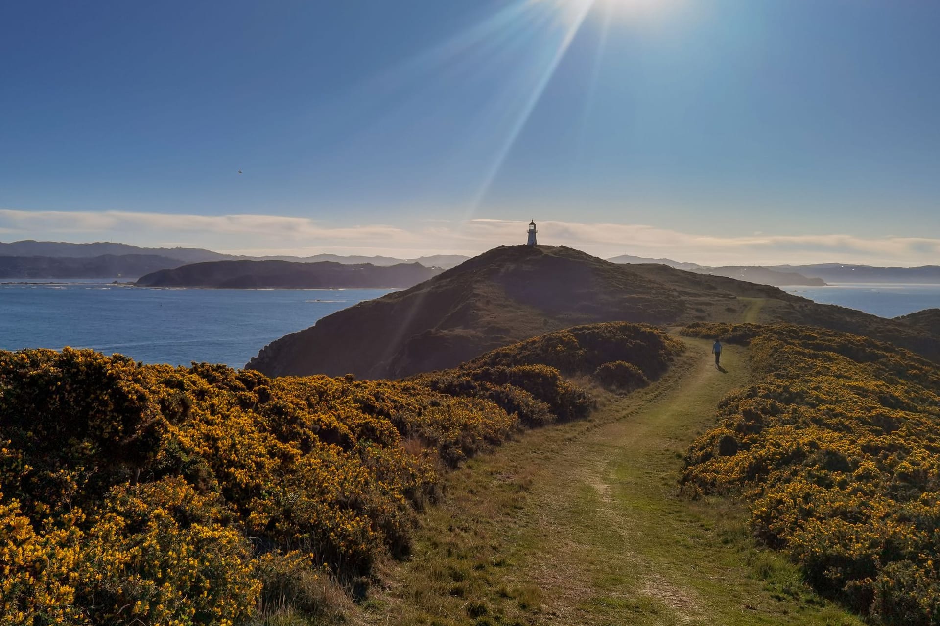 Erdbeben in Neuseeland