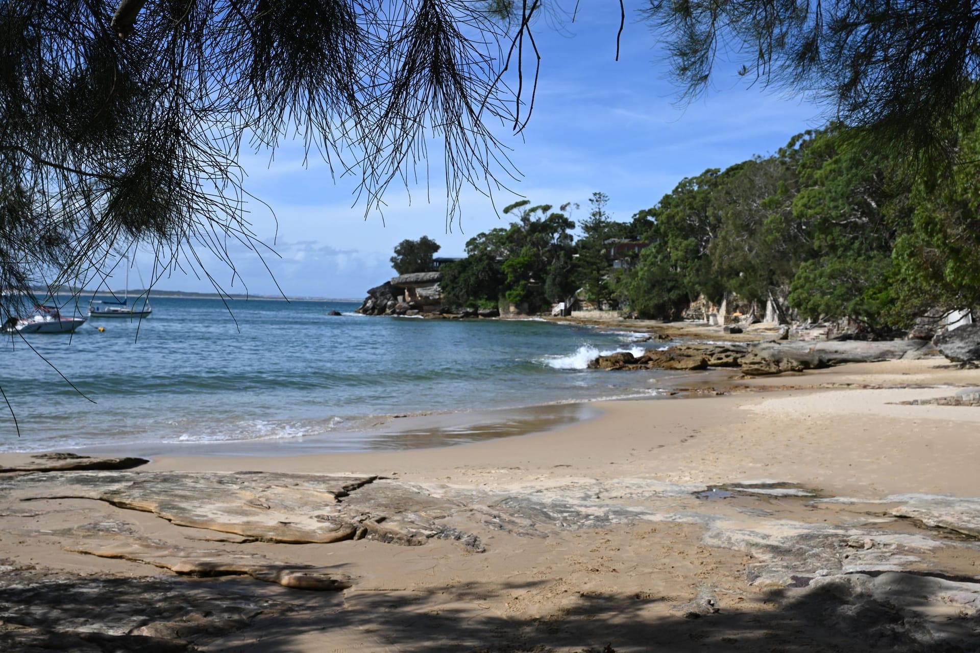 Haiangriff am Gunyah Beach