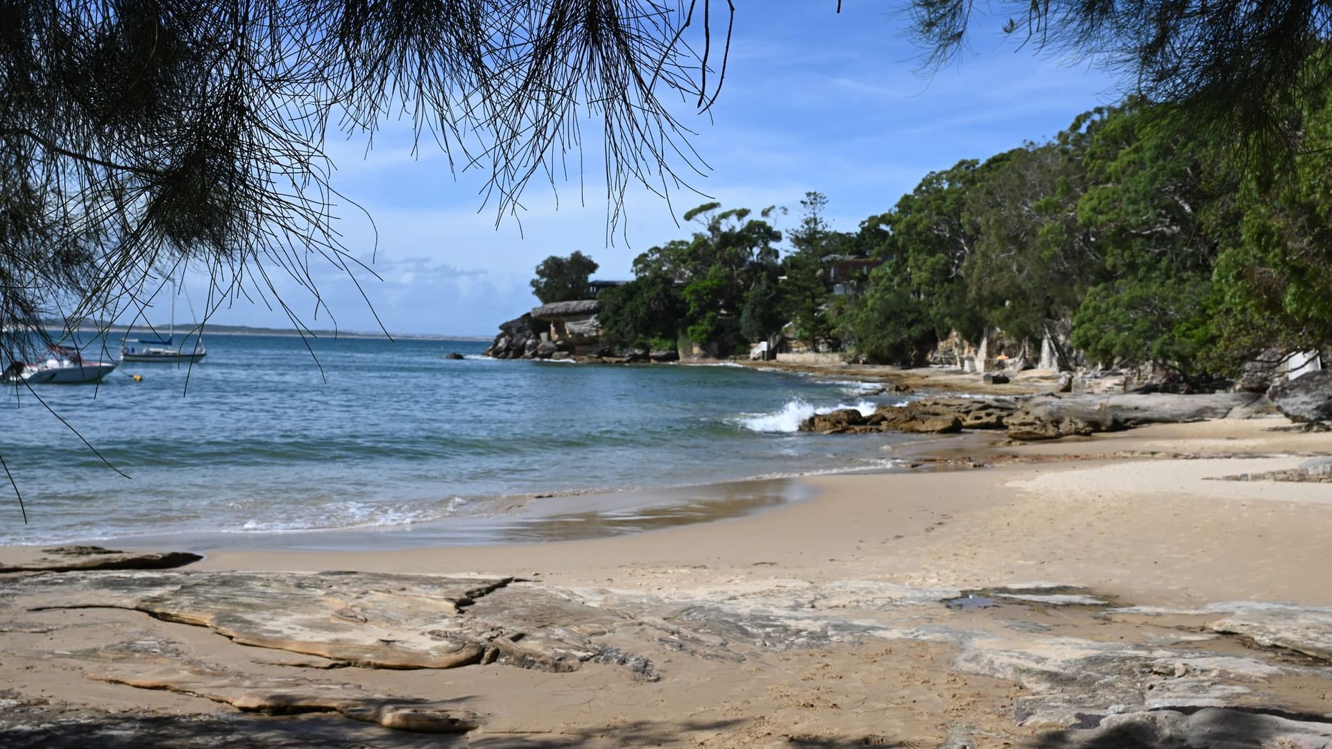 Haiangriff am Gunyah Beach