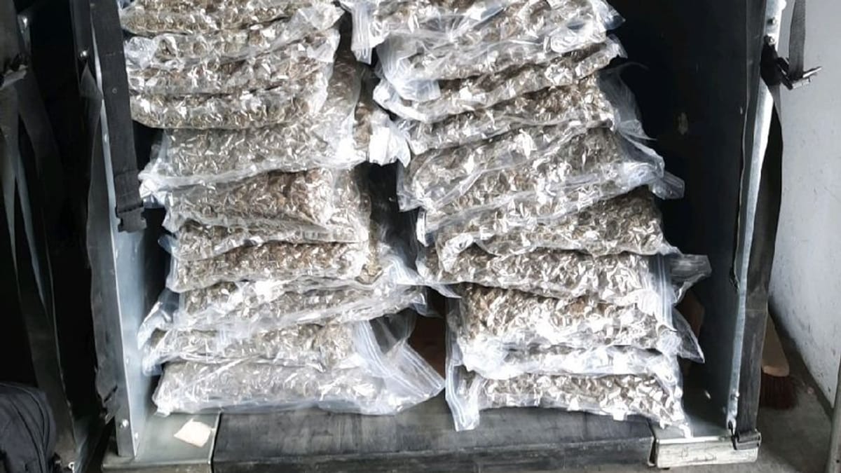 Niedersachsen: Ermittler stoppen Drogenbande mit Tonnenweise Marihuana