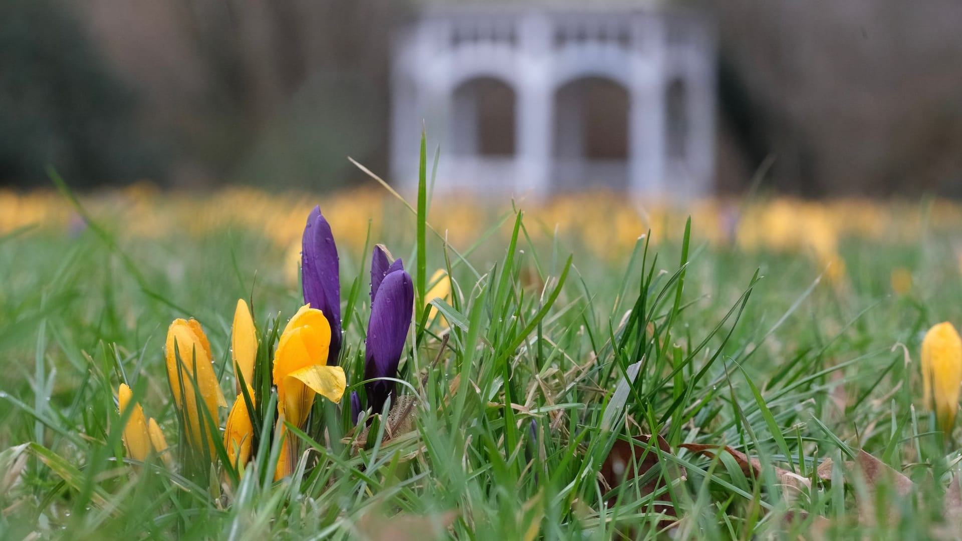 Meteorologischer Frühlingsanfang