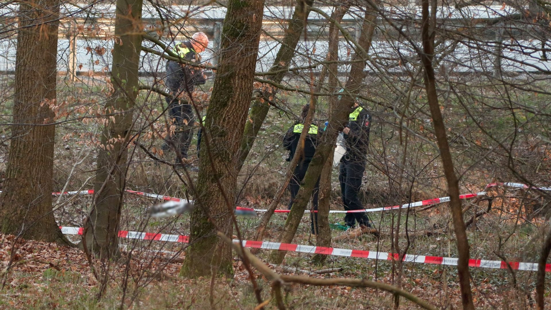 Beamte untersuchen das Gelände an der A7: In einem Waldstück wurde zuvor eine Leiche gefunden.