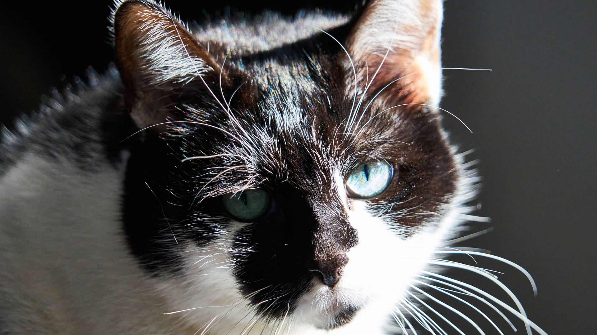 imago images 0804006082