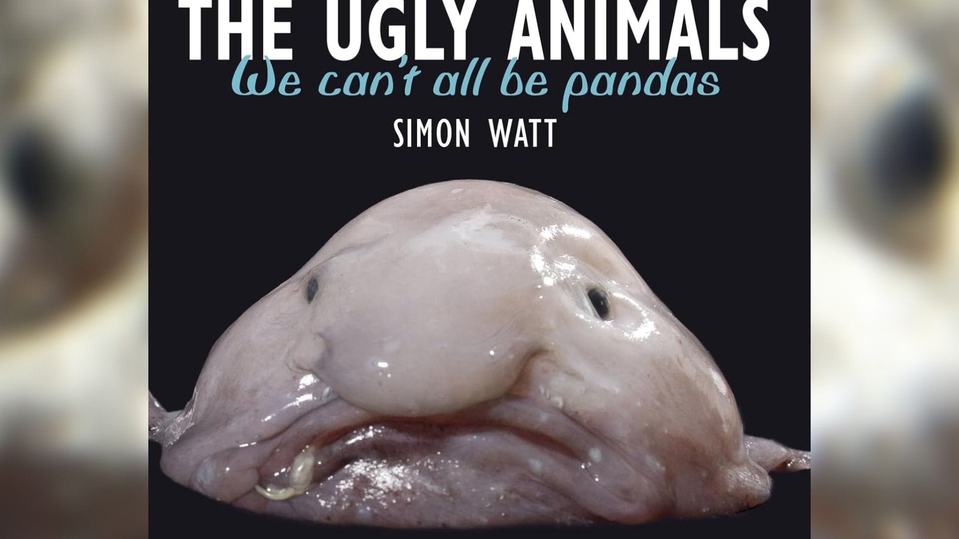 Cover des Buchs "The Ugly Animals: We Can't All Be Pandas" (Archivbild): Der Blobfisch wurde 2013 zum hässlichsten Tier der Welt erklärt.