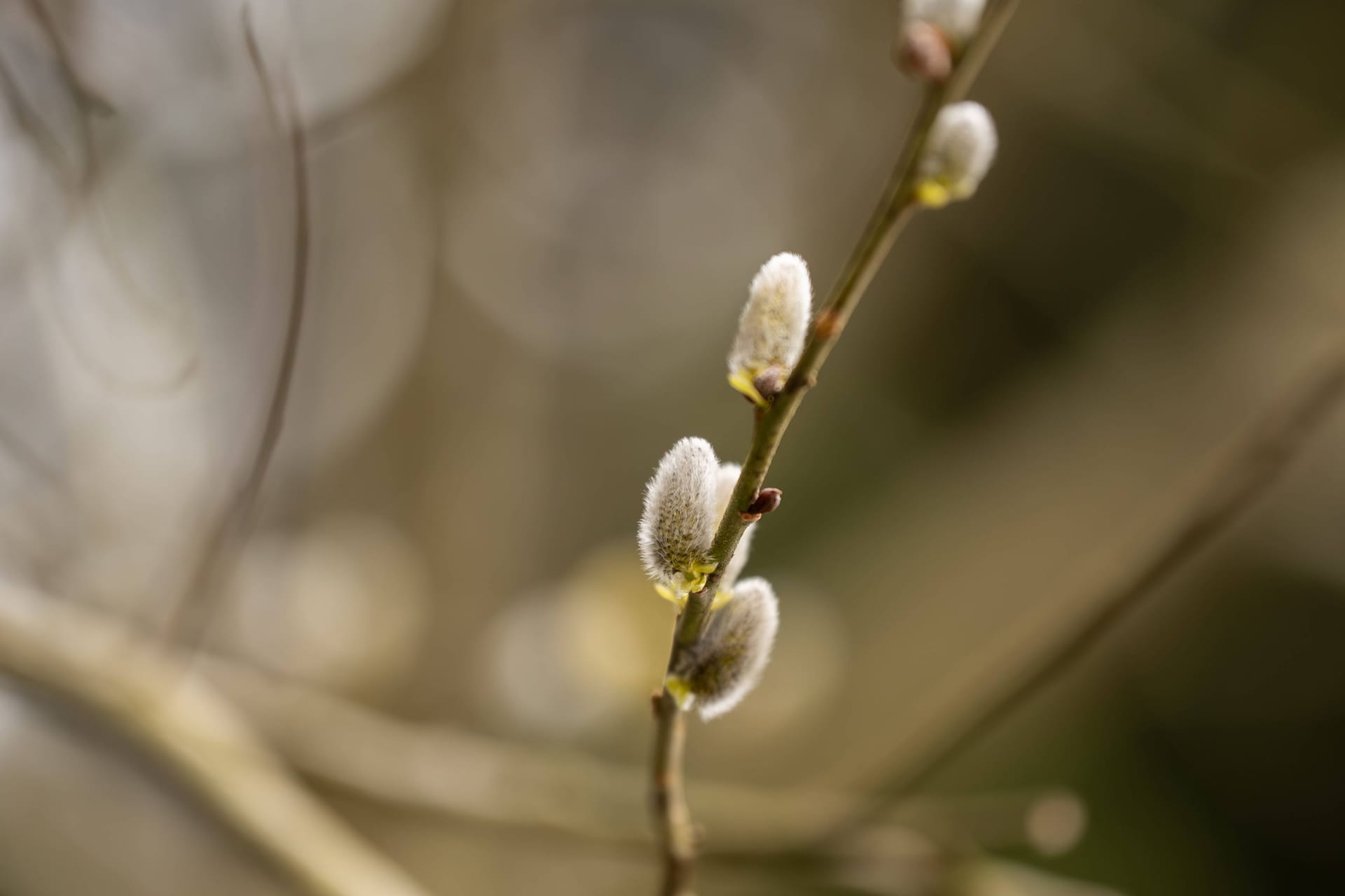 imago images 0807227252