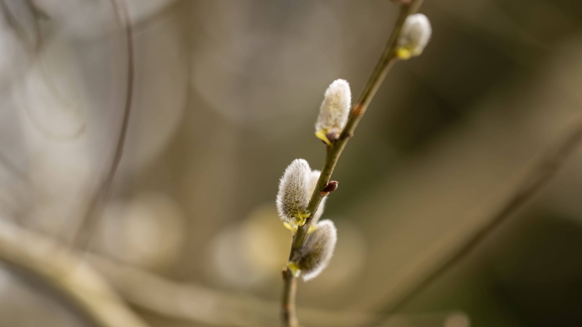 imago images 0807227252