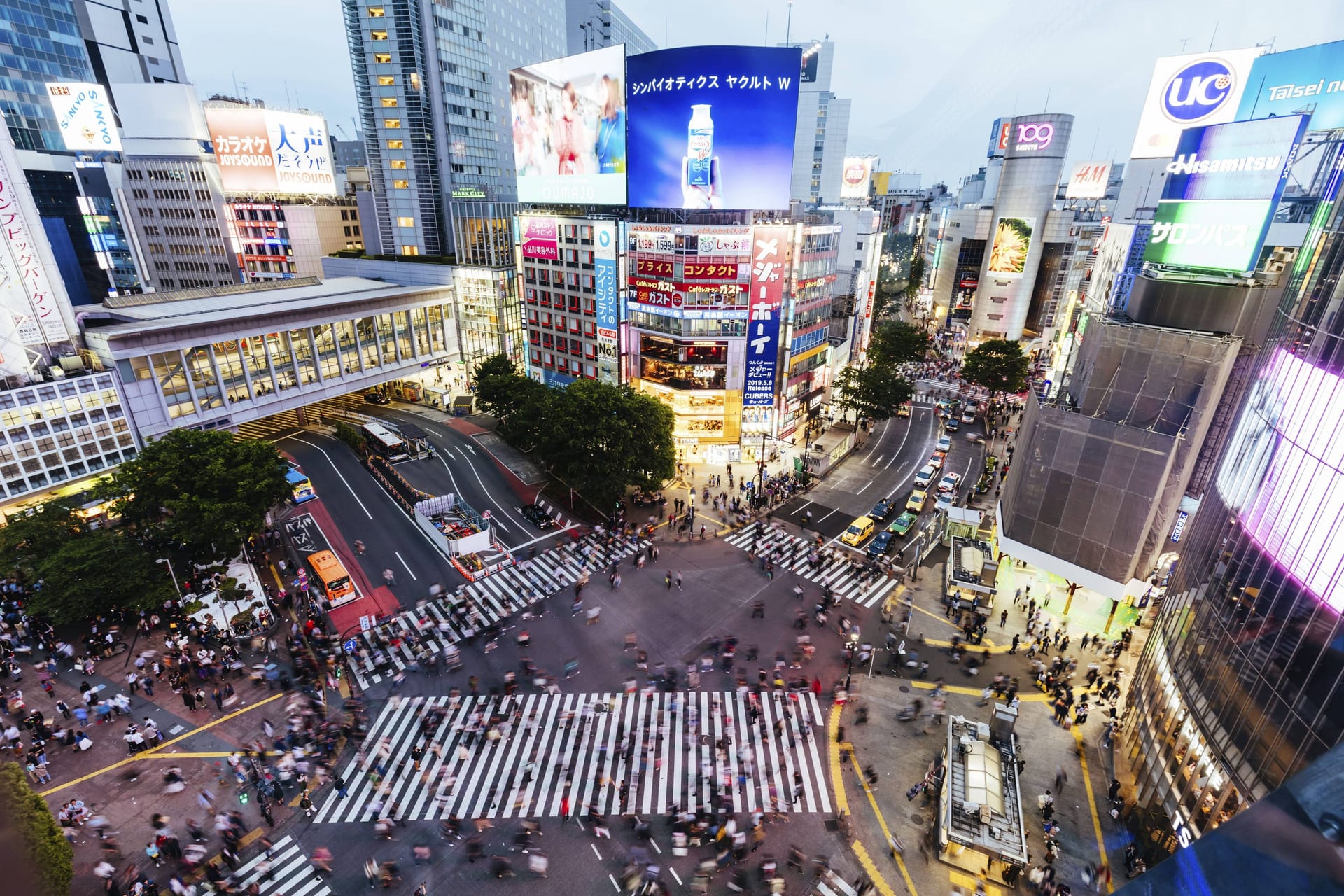 Shibuya Crossing, Tokio: Hier kreuzt sich das pulsierende Herz der reichsten Stadt Asiens.