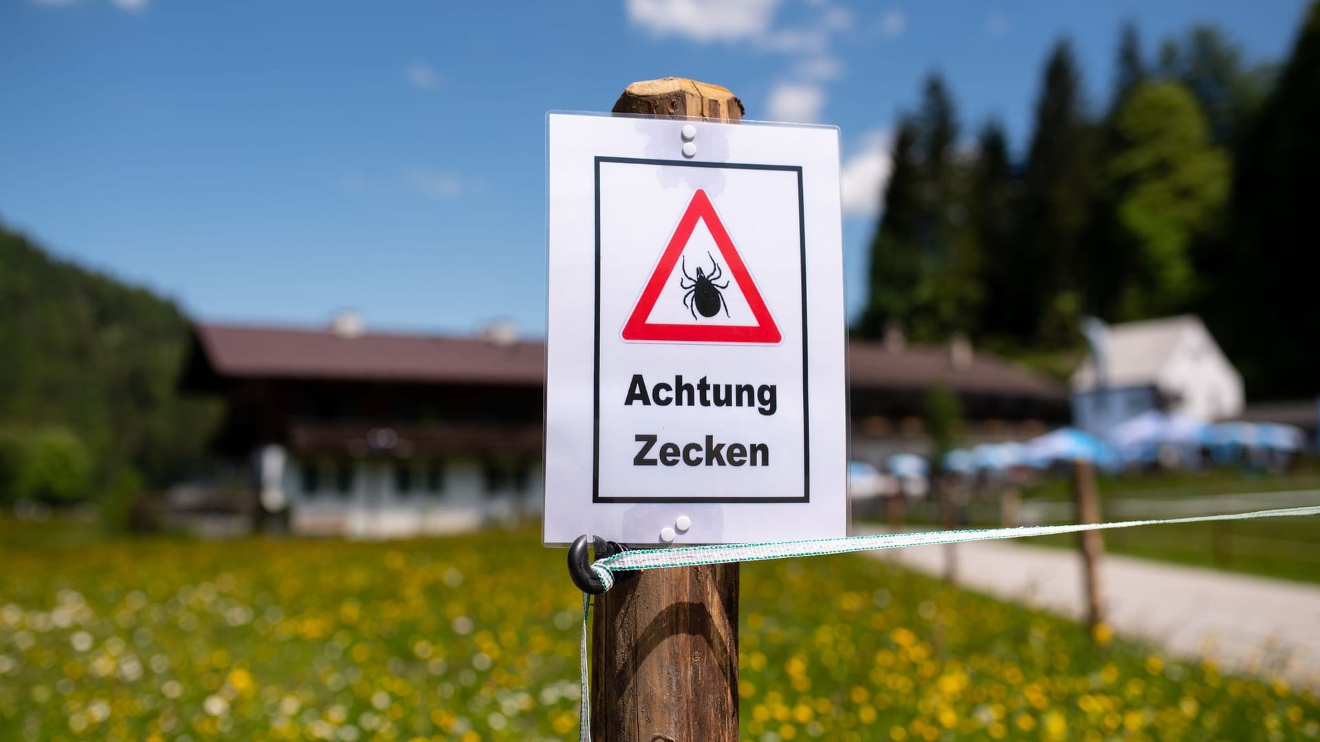 Achtung Zecken