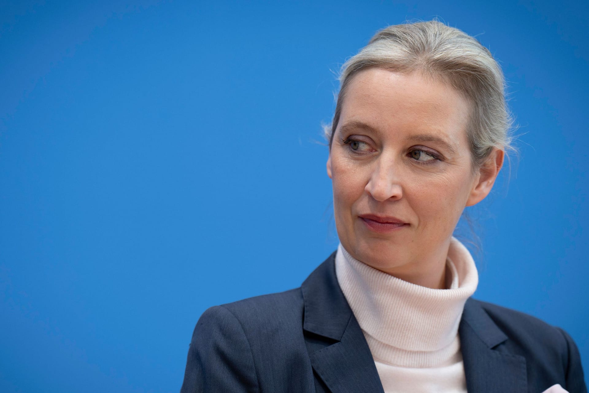 Alice Weidel: Die Chefin der AfD und ihre Partei polarisieren.