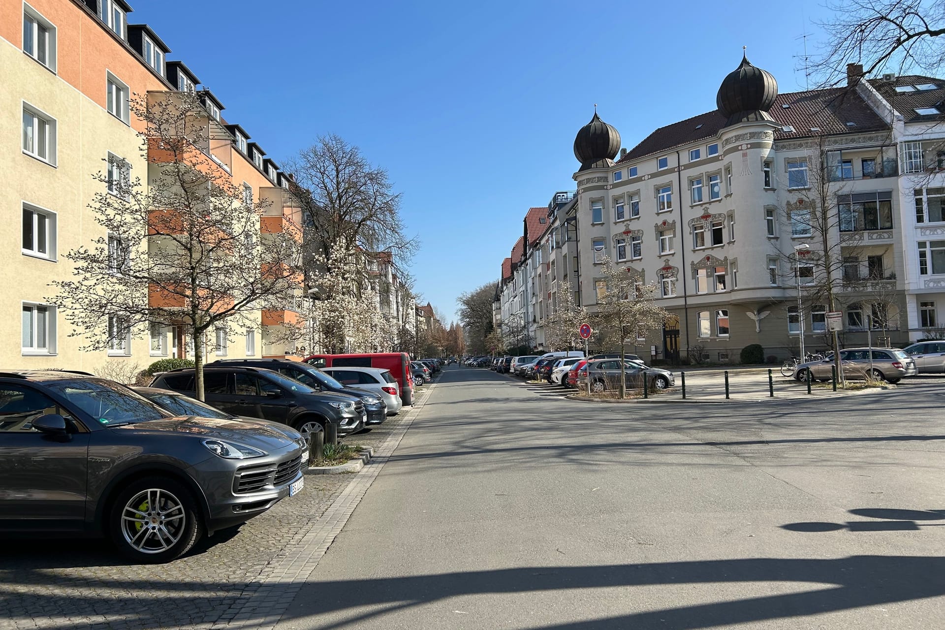 Die Roonstraße im Östlichen Ringgebiet: Hier blühen schon jetzt die ersten Magnolien.