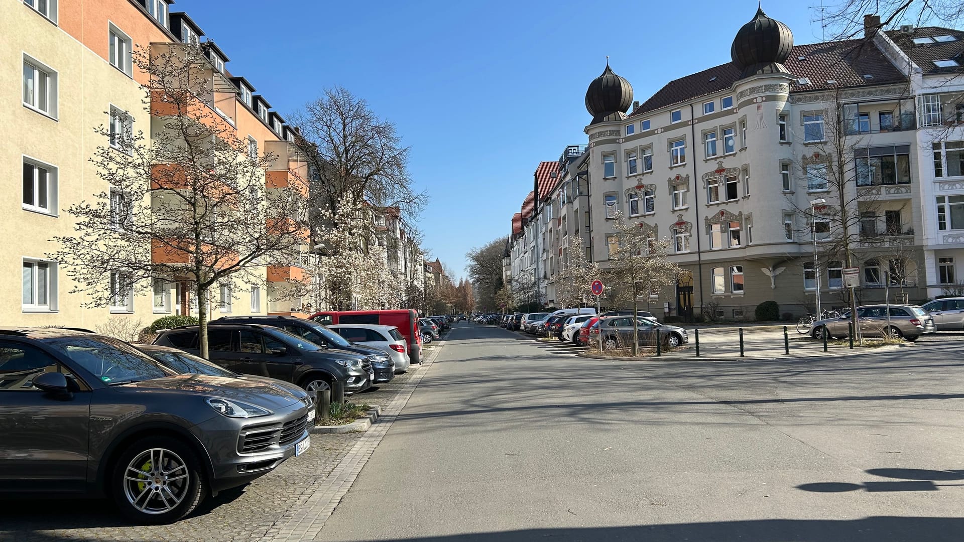 Die Roonstraße im Östlichen Ringgebiet: Hier blühen schon jetzt die ersten Magnolien.