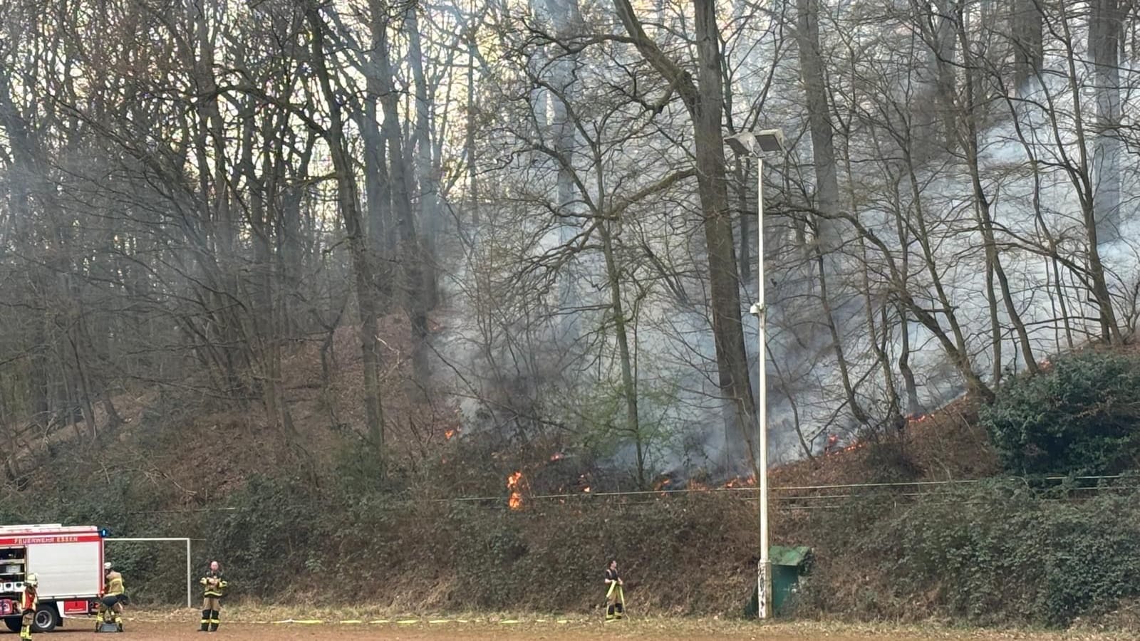 Brennendes Waldstück in Essen-Freisenbruch. Insgesamt waren rund 60 Einsatzkräfte vor Ort.