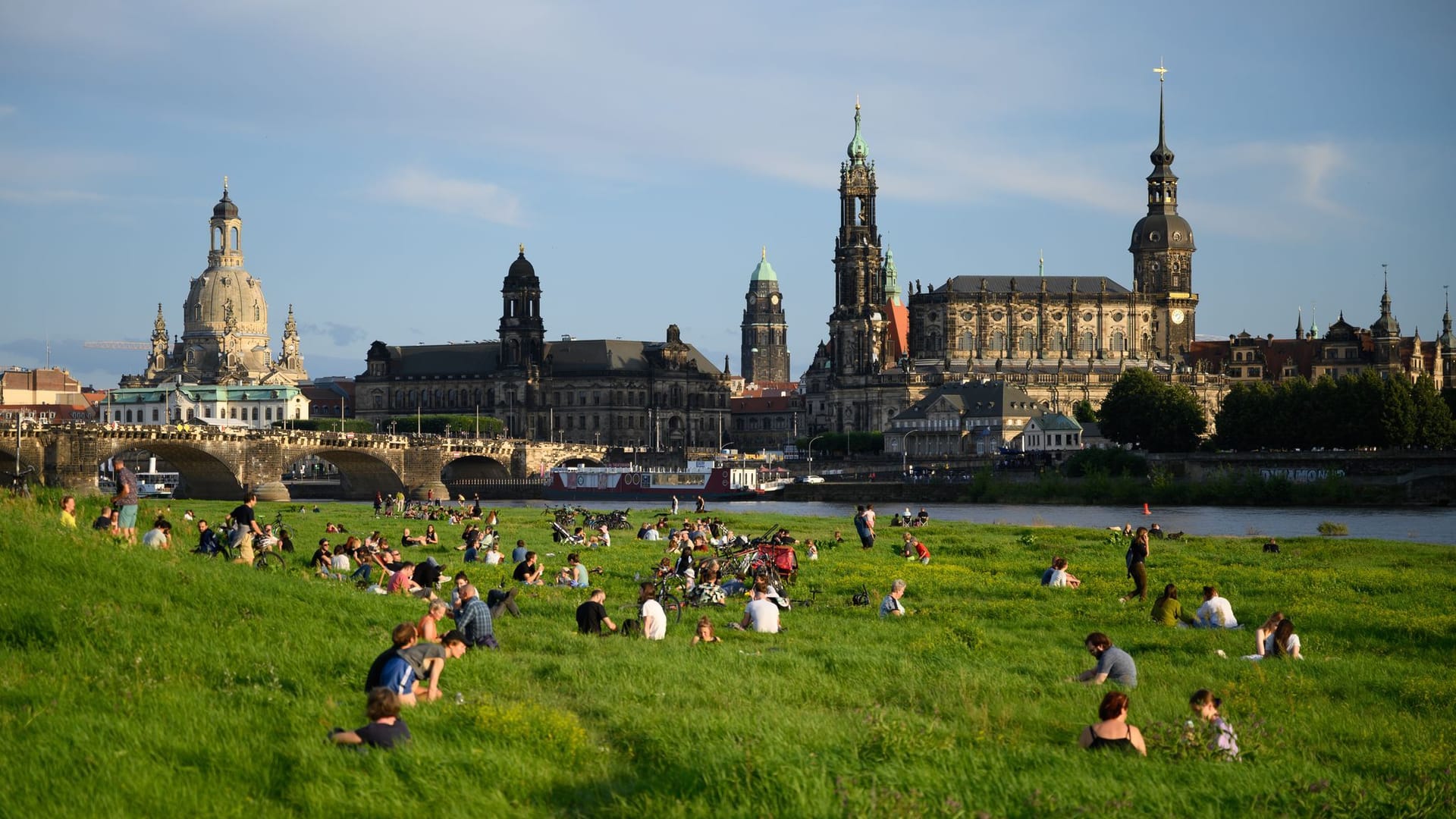 Elbwiesen in Dresden