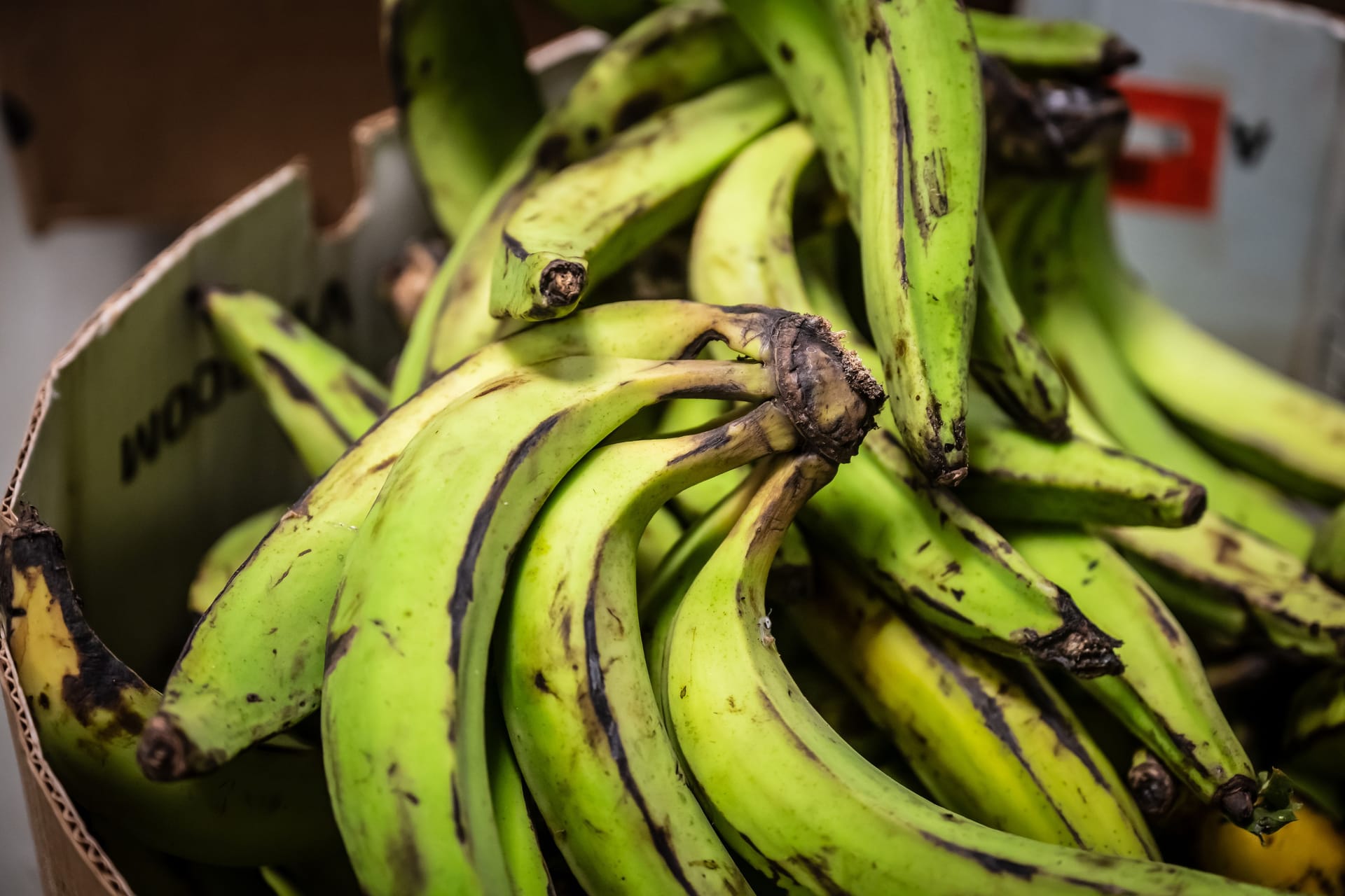 Bananen aus Afrika liegen im Kumasi-Markt (Archivbild): Die erste Kontrolle fand am 27. Januar 2025 statt.