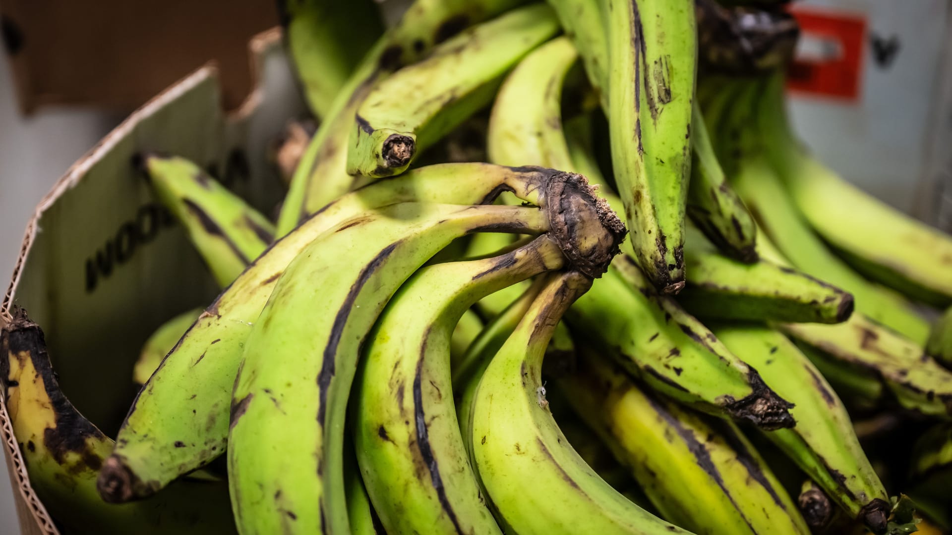 Bananen aus Afrika liegen im Kumasi-Markt (Archivbild): Die erste Kontrolle fand am 27. Januar 2025 statt.