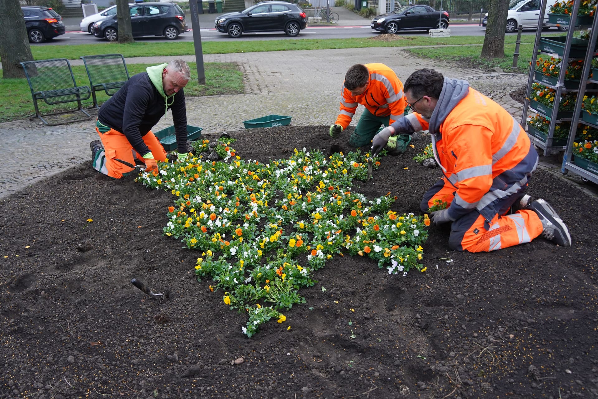 Die Stadtgärtnerei und Grünkolonne bei der Arbeit: Schlüsselblumen, Nelken und Veilchen, aber auch Wimpernblättrige Gänsekresse, Schleifenblumen und Vergissmeinnicht werden gepflanzt.