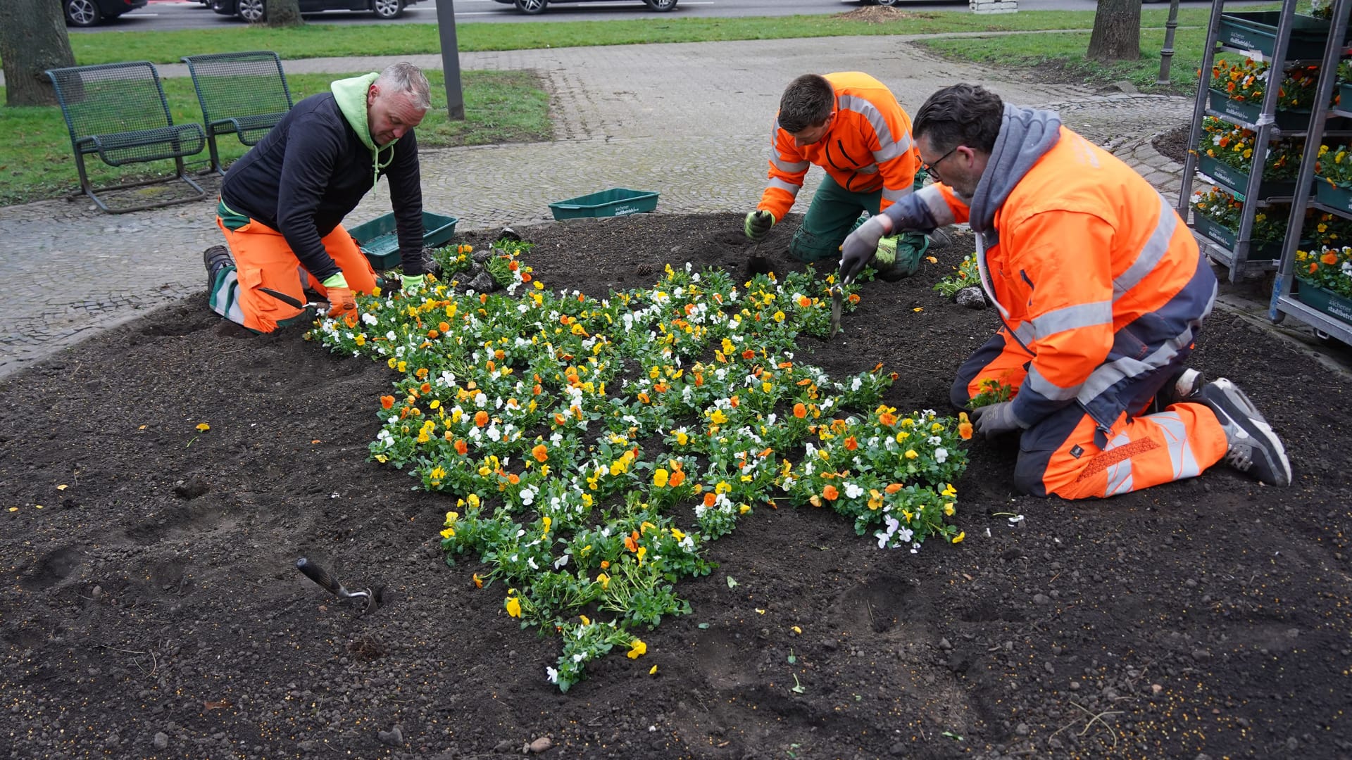 Die Stadtgärtnerei und Grünkolonne bei der Arbeit: Schlüsselblumen, Nelken und Veilchen, aber auch Wimpernblättrige Gänsekresse, Schleifenblumen und Vergissmeinnicht werden gepflanzt.