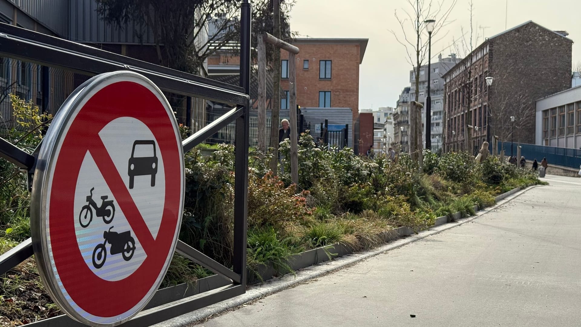 Bürgerbefragung in Paris über autofreie Straßen