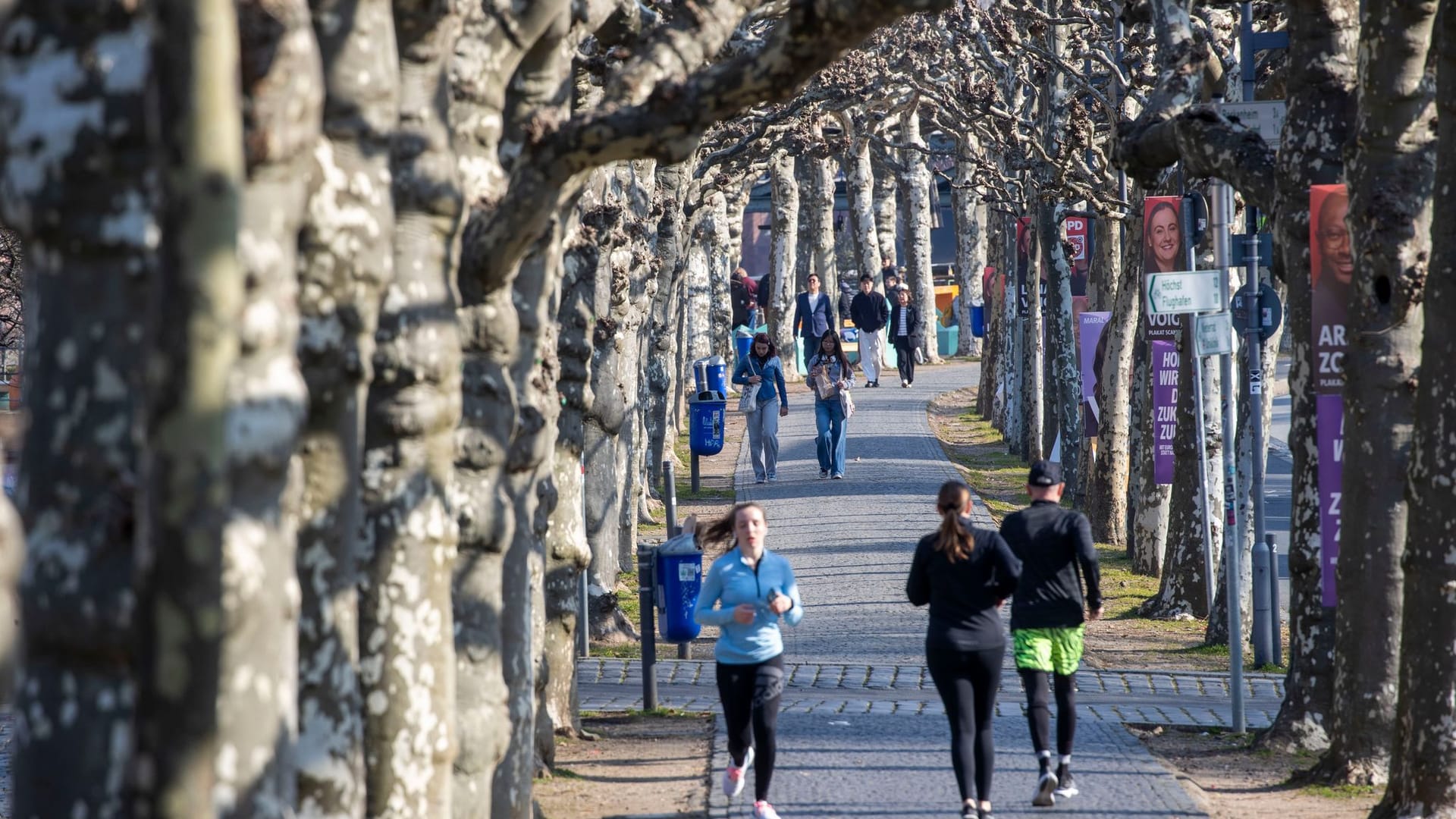 Frühling in Frankfurt