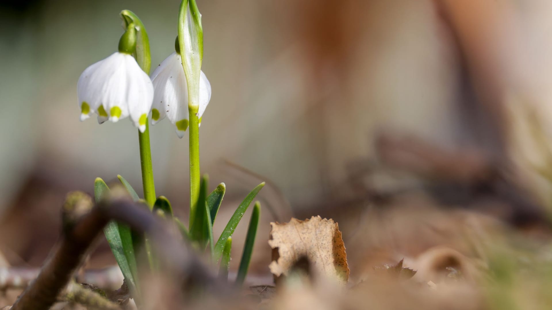 Wetter in Baden-Württemberg