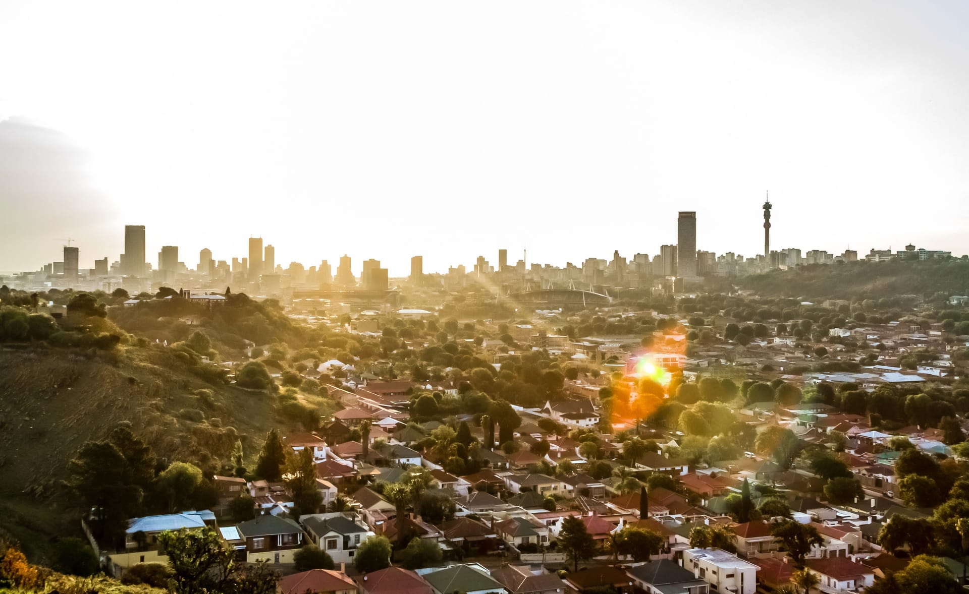 Mit rund sechs Millionen Bäumen zählt Johannesburg zu den grünsten Städten der Welt.