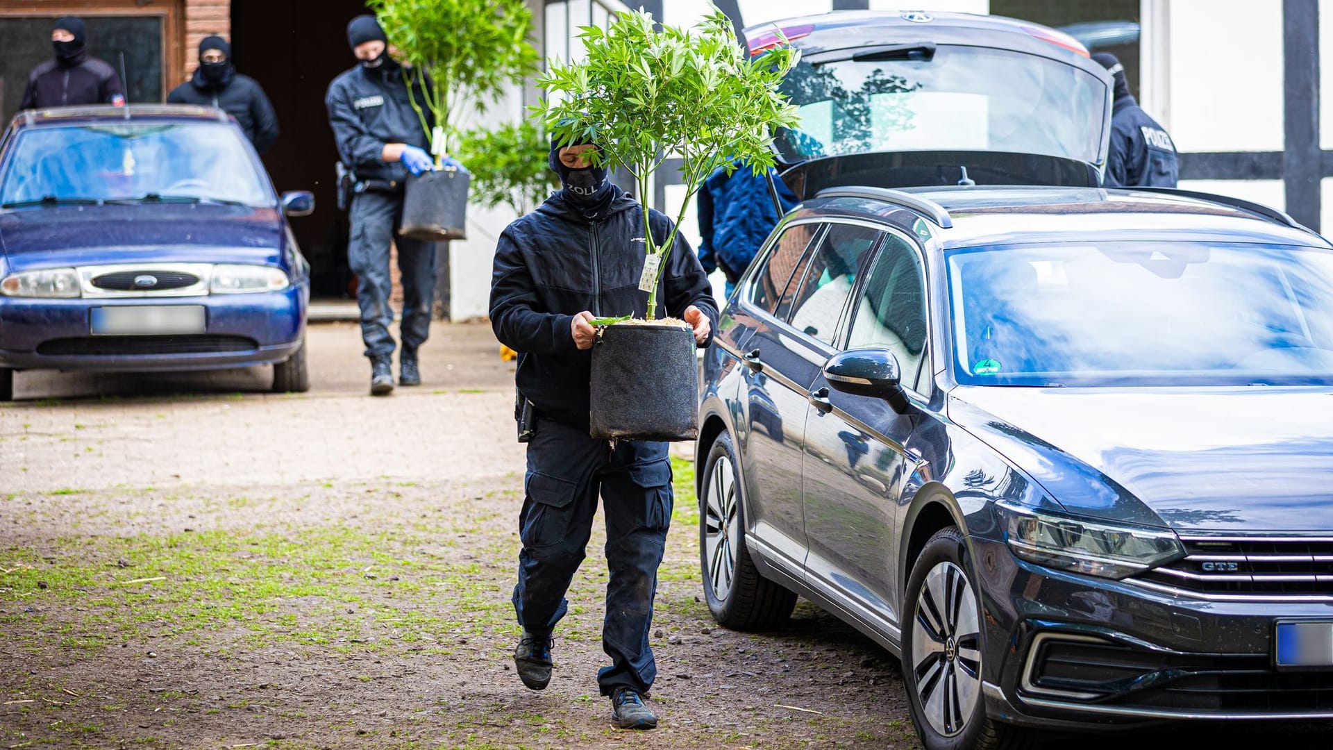 Starker Rückgang bei Straftaten wegen Cannabis