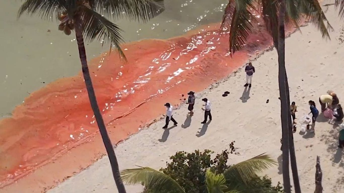 Thailand Wasser am Strand von Phuket färbt sich rot