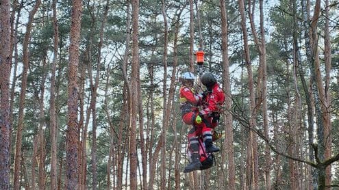 Einsatzkräfte werden im Wald abgeseilt: Die verletzte Person war nicht mehr in der Lage, selbst zu laufen.