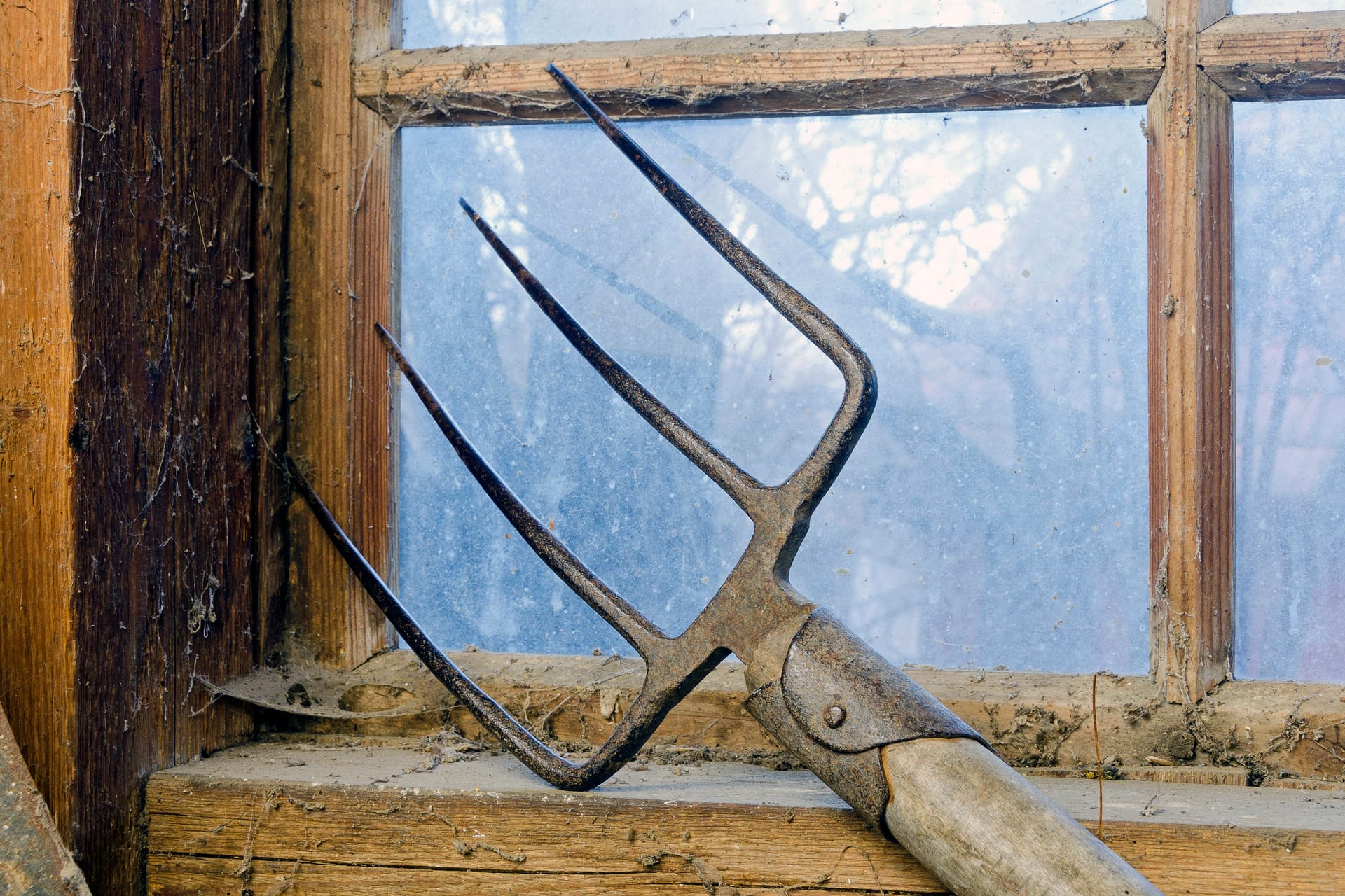 Mistgabel bei einem Fenster mit Spinnweben Mistgabel bei einem schmutziges Fenster mit Spinnweben in einer alten hölzernen Scheune dungfork at a dirty cobwebbed window of an old wooden barn Copyright: xZoonar.com/LeopoldxBrixx 5684014