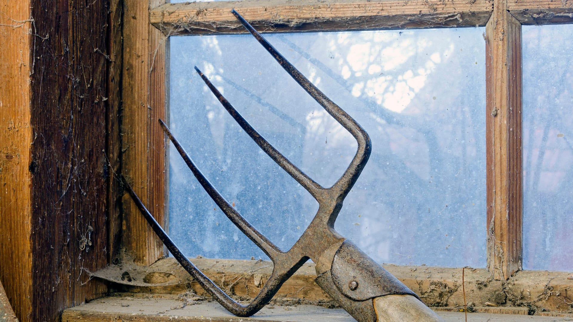 Mistgabel bei einem Fenster mit Spinnweben Mistgabel bei einem schmutziges Fenster mit Spinnweben in einer alten hölzernen Scheune dungfork at a dirty cobwebbed window of an old wooden barn Copyright: xZoonar.com/LeopoldxBrixx 5684014