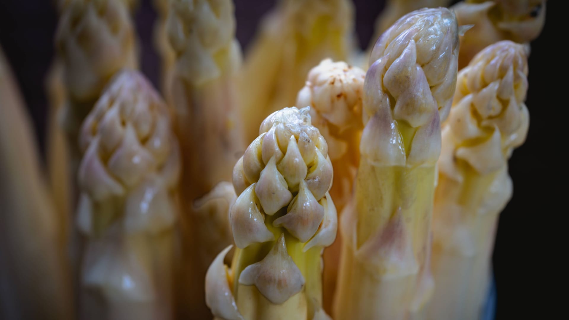 Kultur Landwirtschaft Nahrung 16.06.2023 Brandenburg Beelitz Potsdam Mittelmark Spargel ,Weisser Spargel Asparagus, 5 Kilo Spargel Das Ende der Spargelsaison am 24.Juni Beelitz Potsdam Mittelmark GER