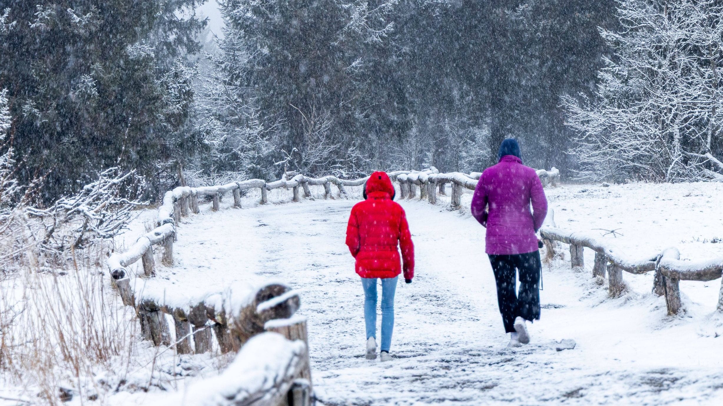 Schnee diese Woche im Taunus: Am Wochenende fallen im Süden Deutschlands weitere Flocken.