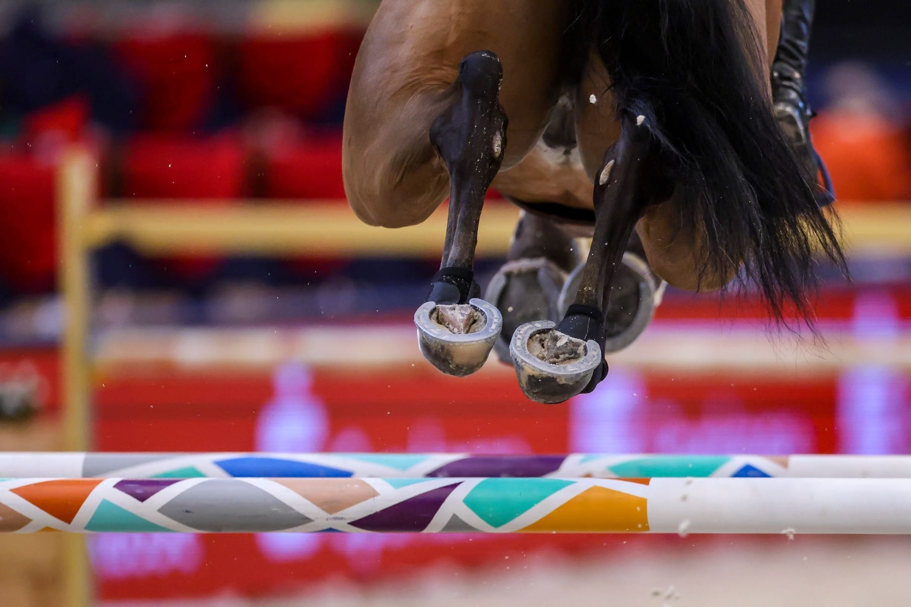 Springreiten