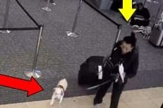 Die Frau mit ihrem Hund am Flughafen: Sie soll ihn in der Toilette ertränkt haben.