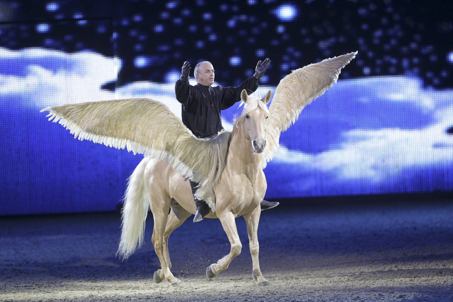 Die Hop Top Show auf der Messe Equitana (Archivbild): Die Pferdeshow gehört jedes Jahr zu den Highlights der Messe.