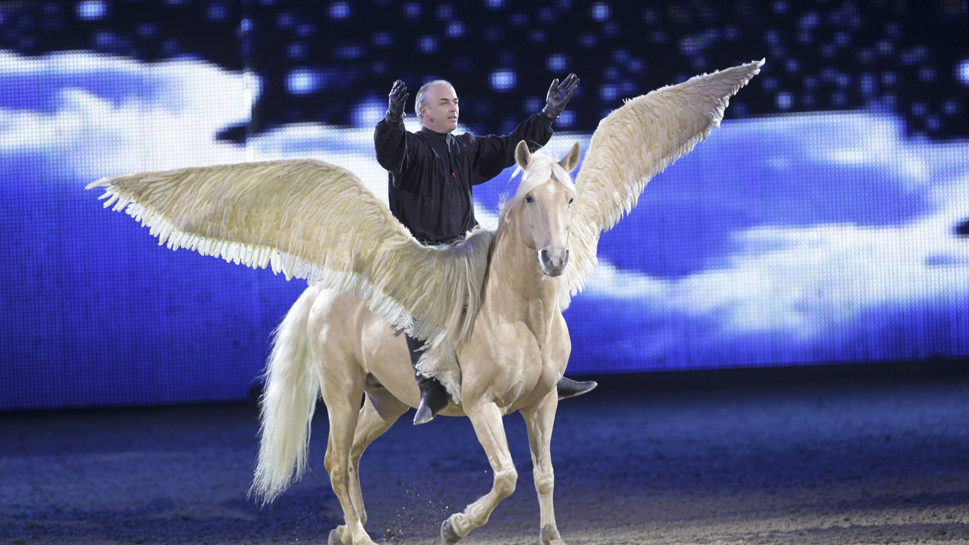 Die Hop Top Show auf der Messe Equitana (Archivbild): Die Pferdeshow gehört jedes Jahr zu den Highlights der Messe.