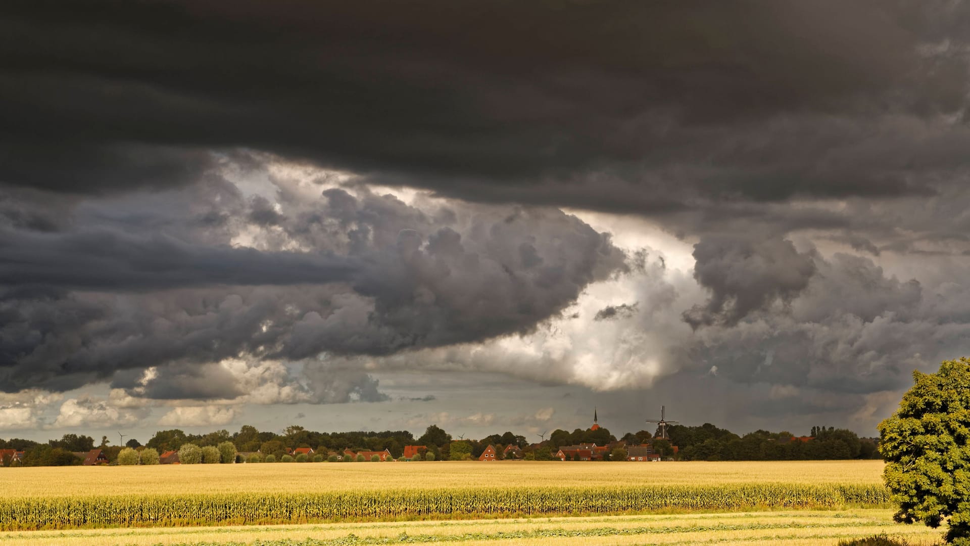 Dunkle Wolken über Feldern (Symbolbild): Der Wetterdienst warnt in Teilen von Niedersachsen vor Schauern und Gewittern.