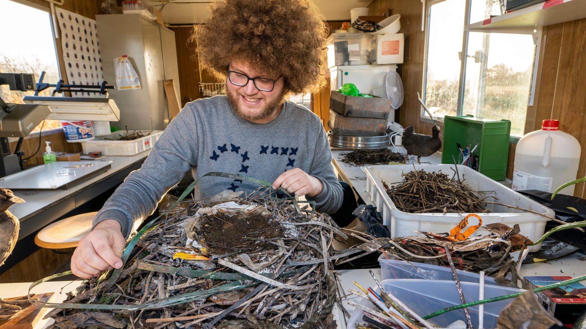 Blässhühner recyceln Plastikabfälle für ihre Nester