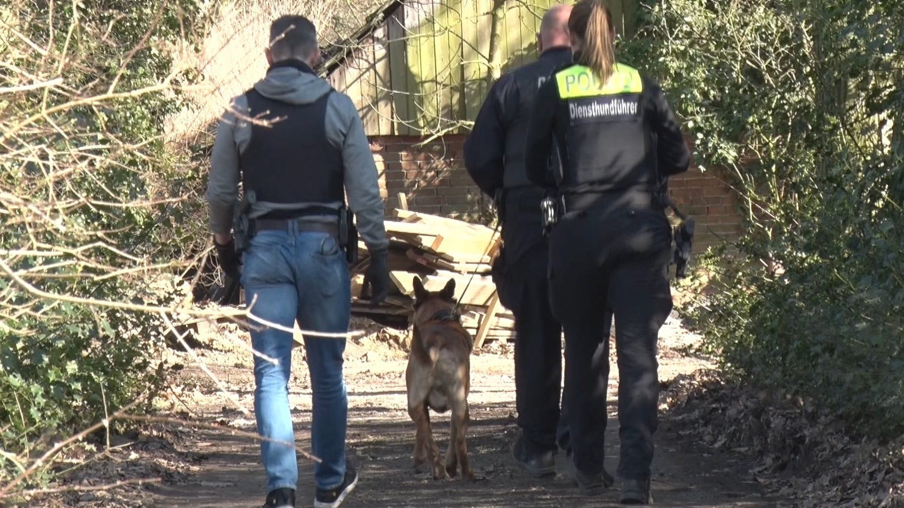 Polizisten mit Hund in der Nähe von Dinklage: Die Polizei stellte zwei flüchtige Männer in einem Waldstück.