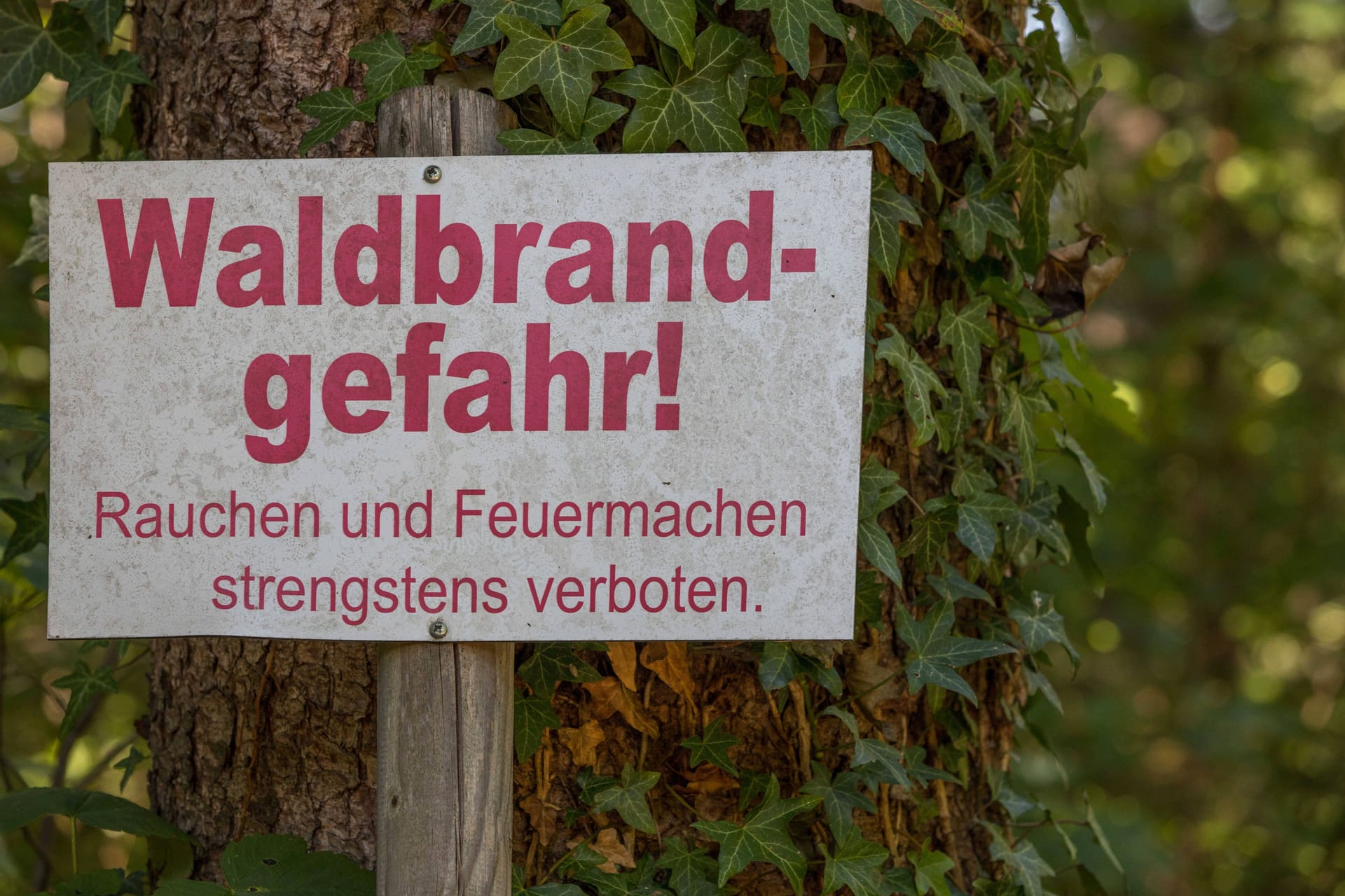 Ein Schild weist auf die Waldbrandgefahr hin (Symbolbild): In Bayern gilt ab März ein Rauchverbot in Wäldern.