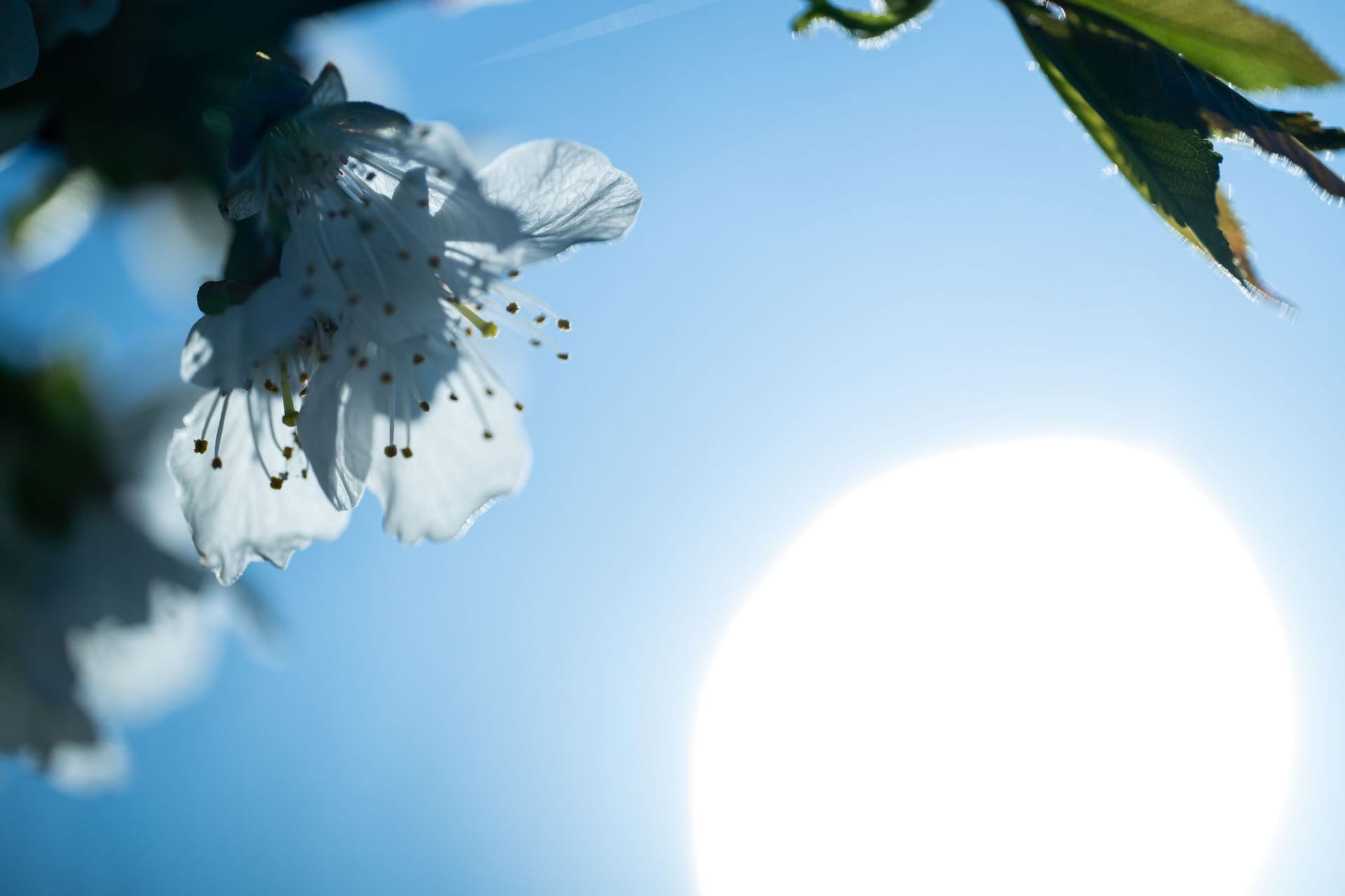 Sonne in Nordbayern - Wetter
