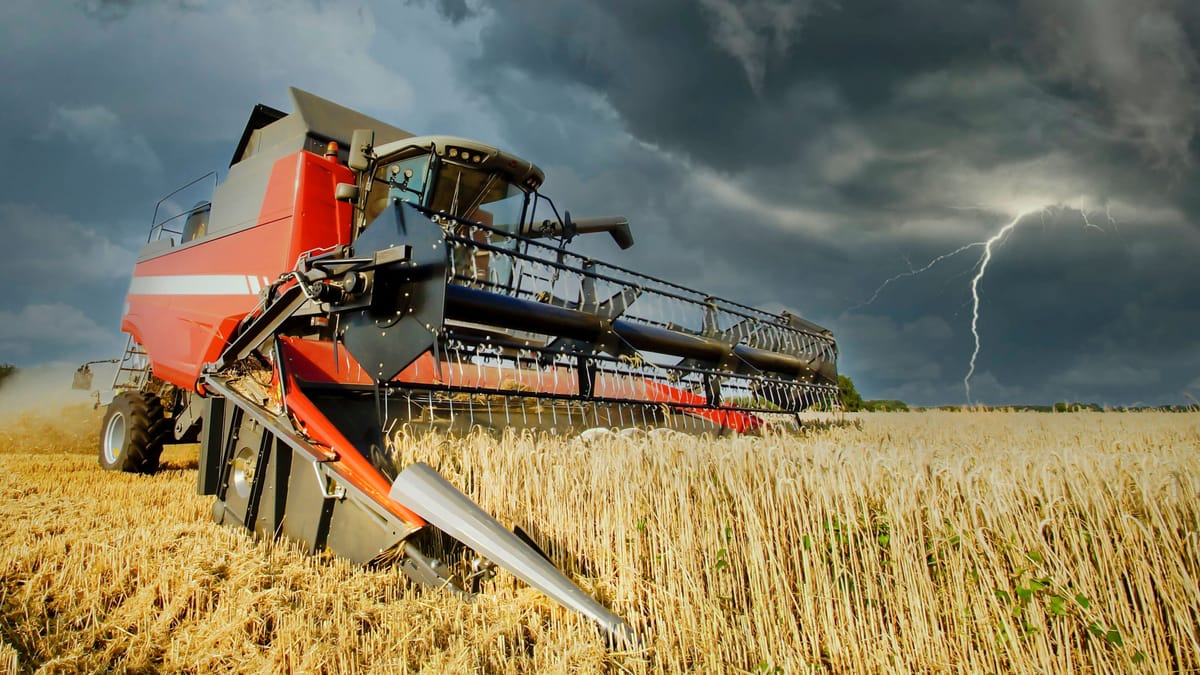 Insekt-bedroht-Landwirte-Viele-f-rchten-um-ihre-Existenz-