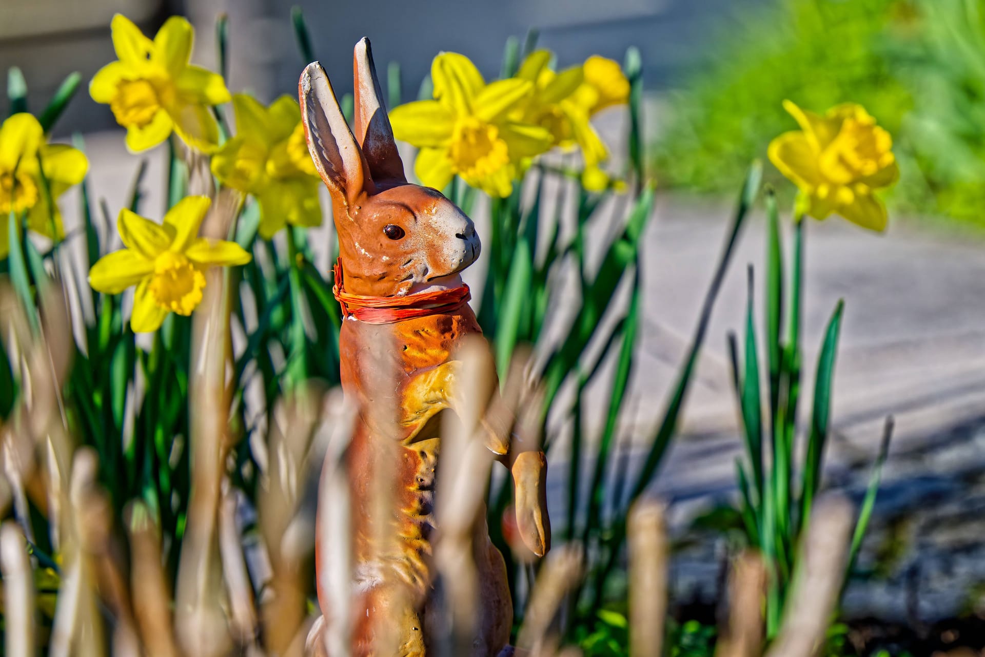 Der Osterhase hat sich zwischen den gelben Narzissen versteckt (Symbolbild): Der Samstag in München wird mild und trocken.