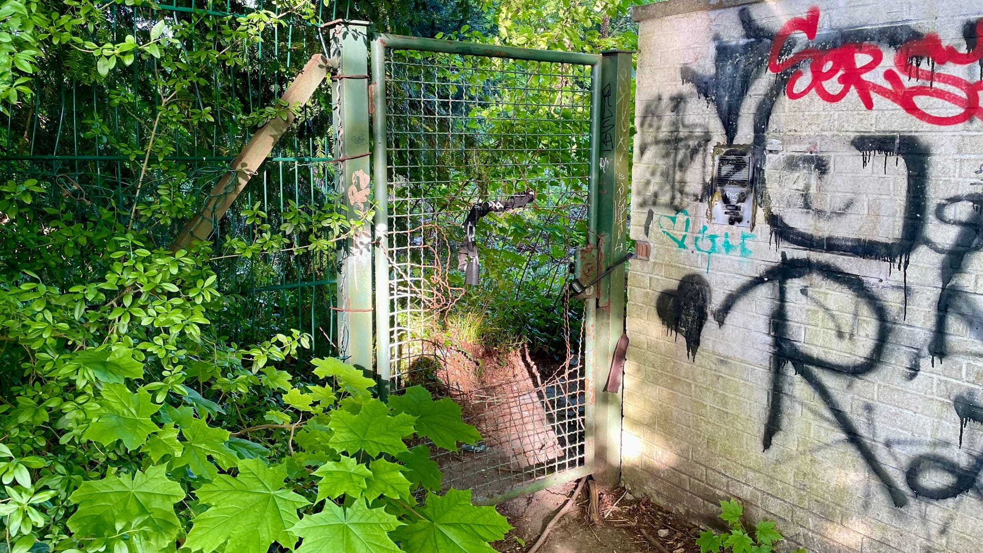 Im Tor des Gartenzauns ist ein großes Loch: Die Villa Sohl ist beliebt bei "Lost Place"-Besuchern.