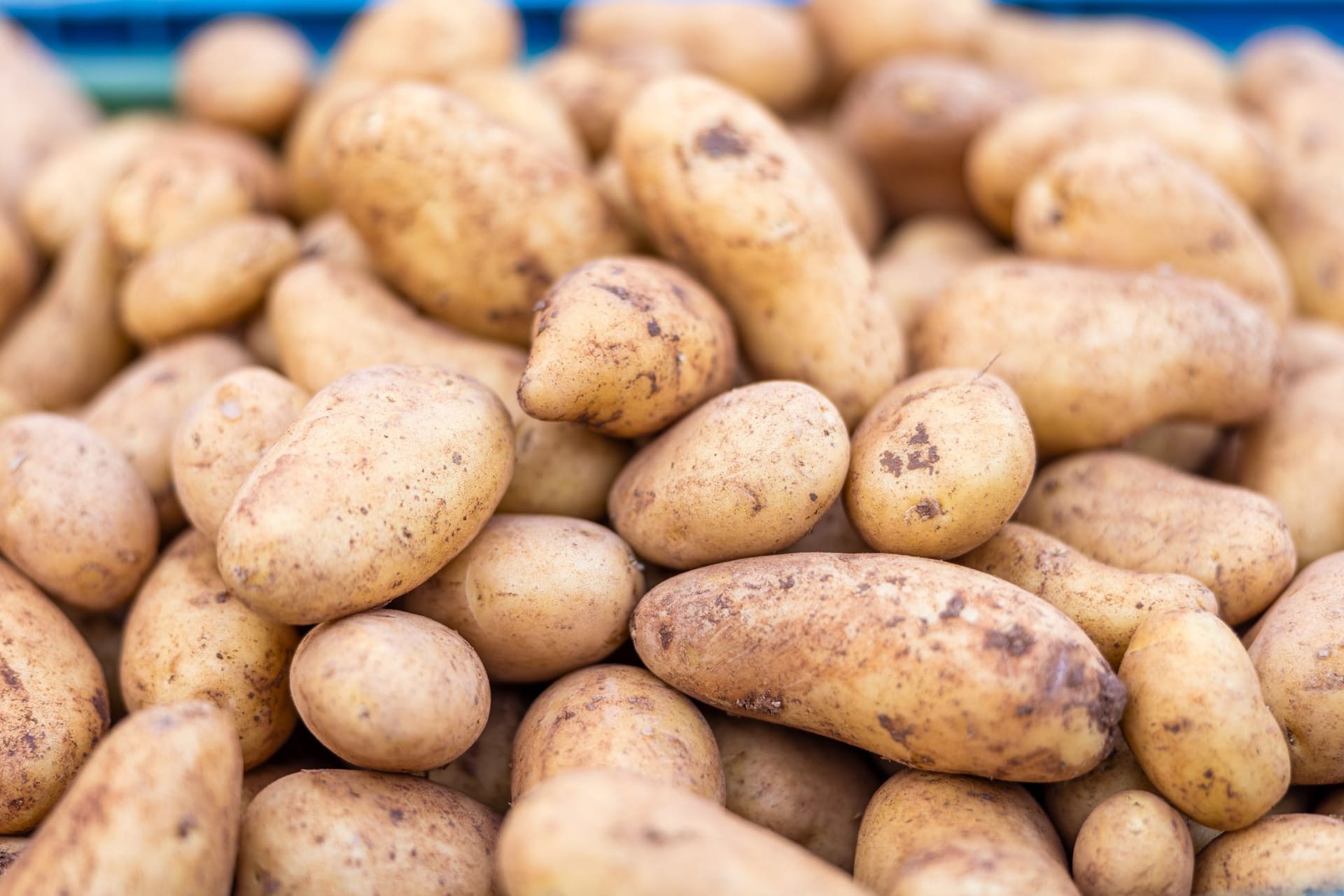 Kartoffeln Kartoffeln